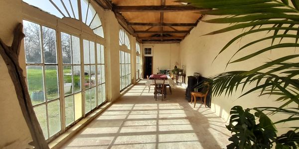 Sunlit long room with large windows, wooden furniture, and plants.