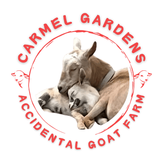 carmelgardensAGF 