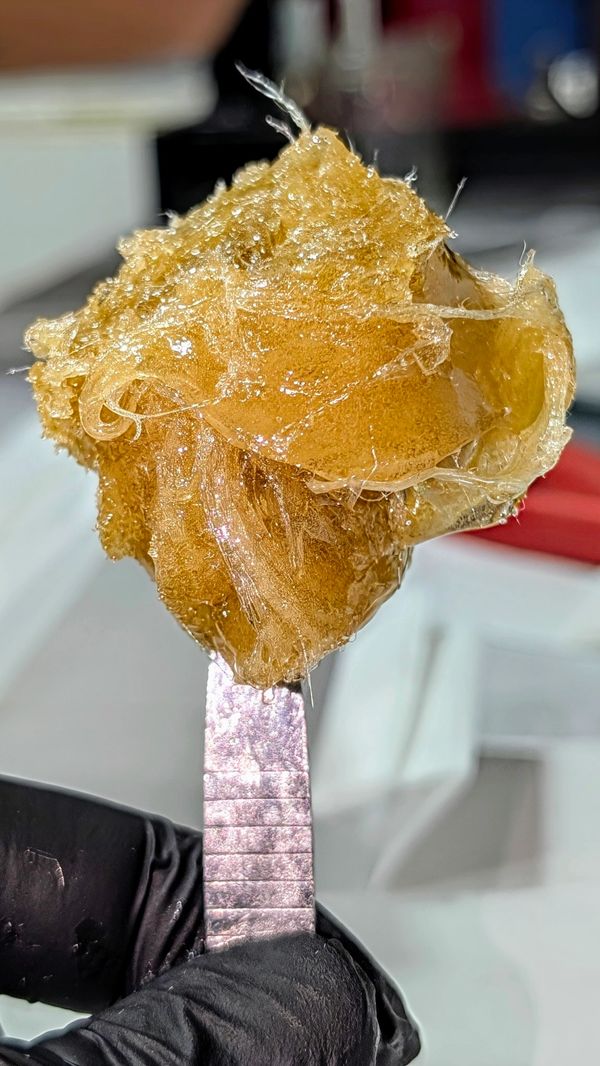 Freshly collected Royal Zupaboof from Hugs Hash Co.