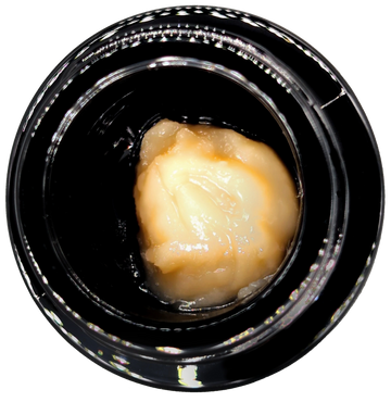 Garlic Smoovie (Sour Garlic Cookies x GAK Smoovie) hash rosin. Hugs Hash Co. Taste the embrace.