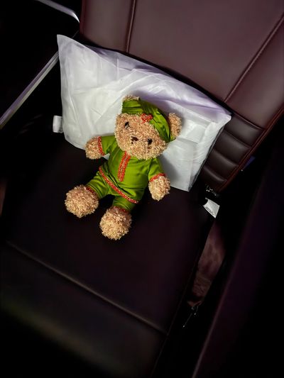 Apna Bear