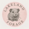 Lakeland Forage   