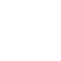 Curated by Kin