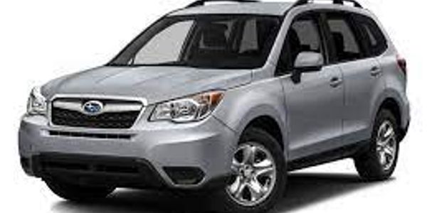 Subaru Forester one of our rental vehicles seats 5ppl. Great for wildlife viewing. 