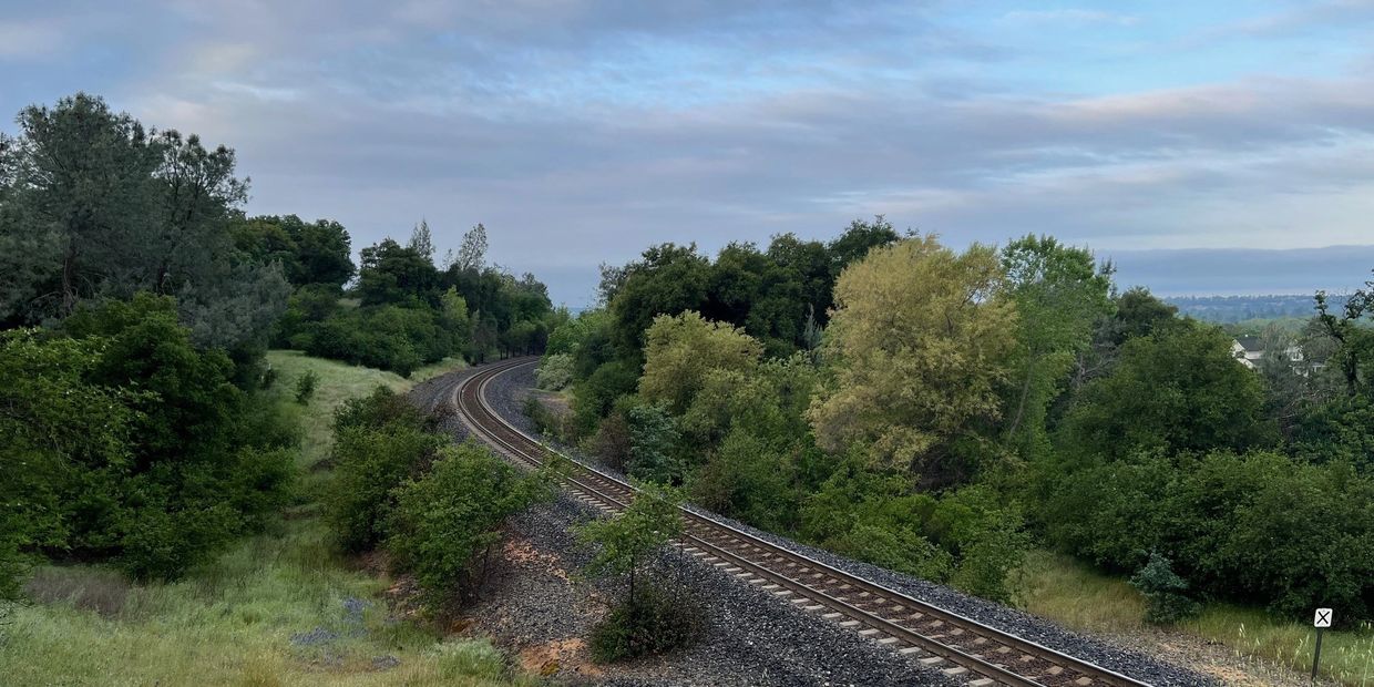 Railway tracks curving through lush greenery under a cloudy sky.