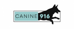 Canine 209 
Dog Training 