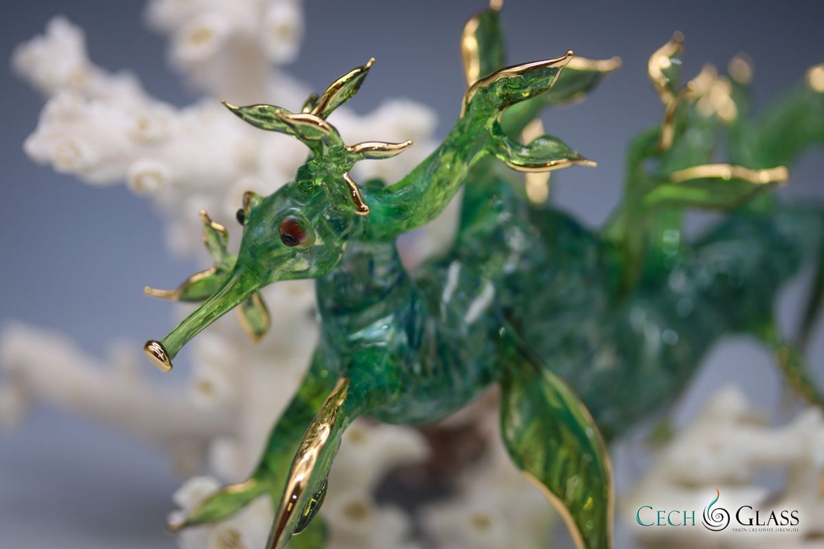 Leafy Sea Dragon Leafy Sea Dragon