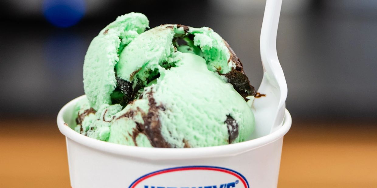 A cup of mint chocolate chip ice cream with a white plastic spoon.