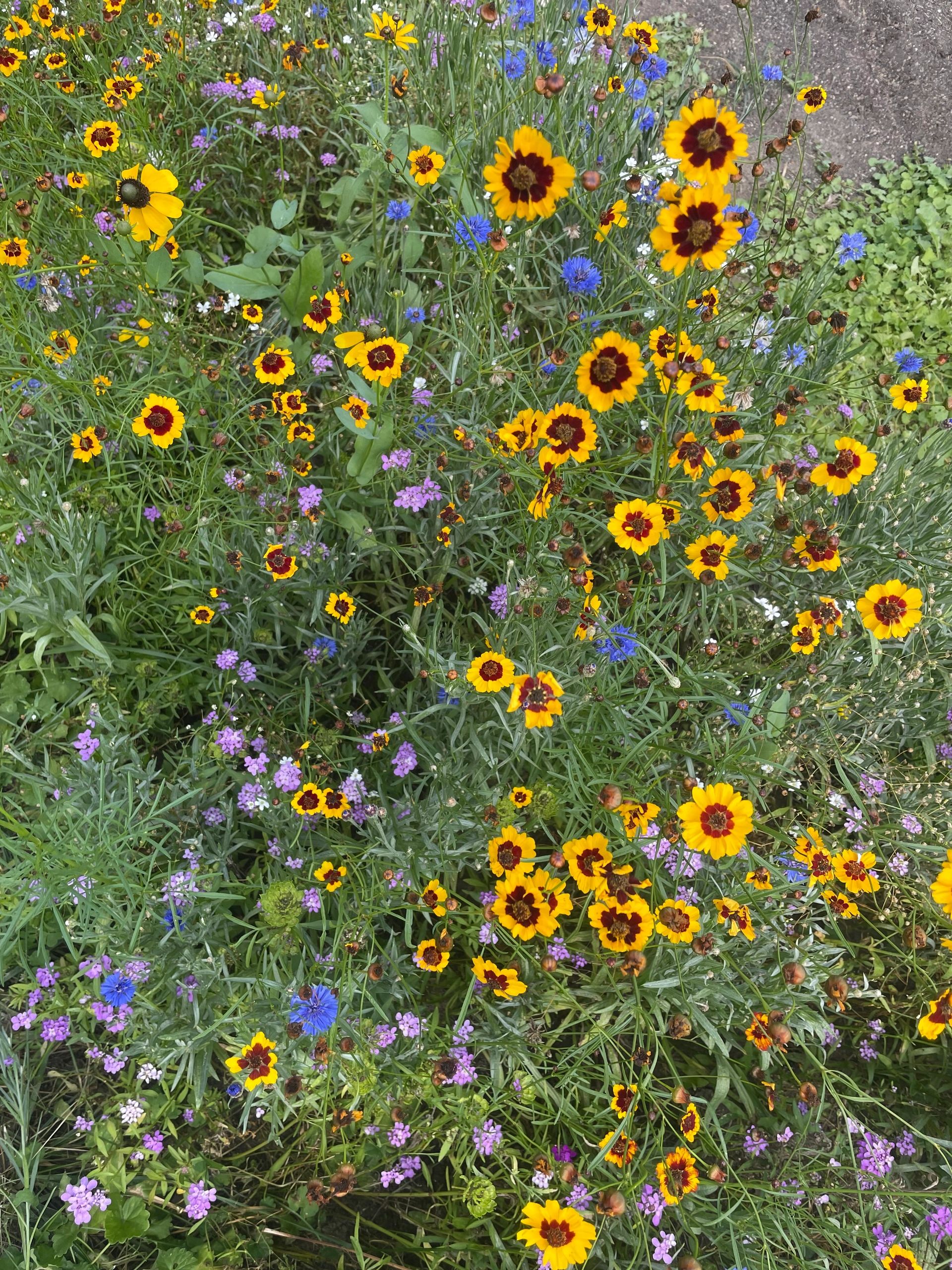 Land Stewards of Indianapolis, Inc.