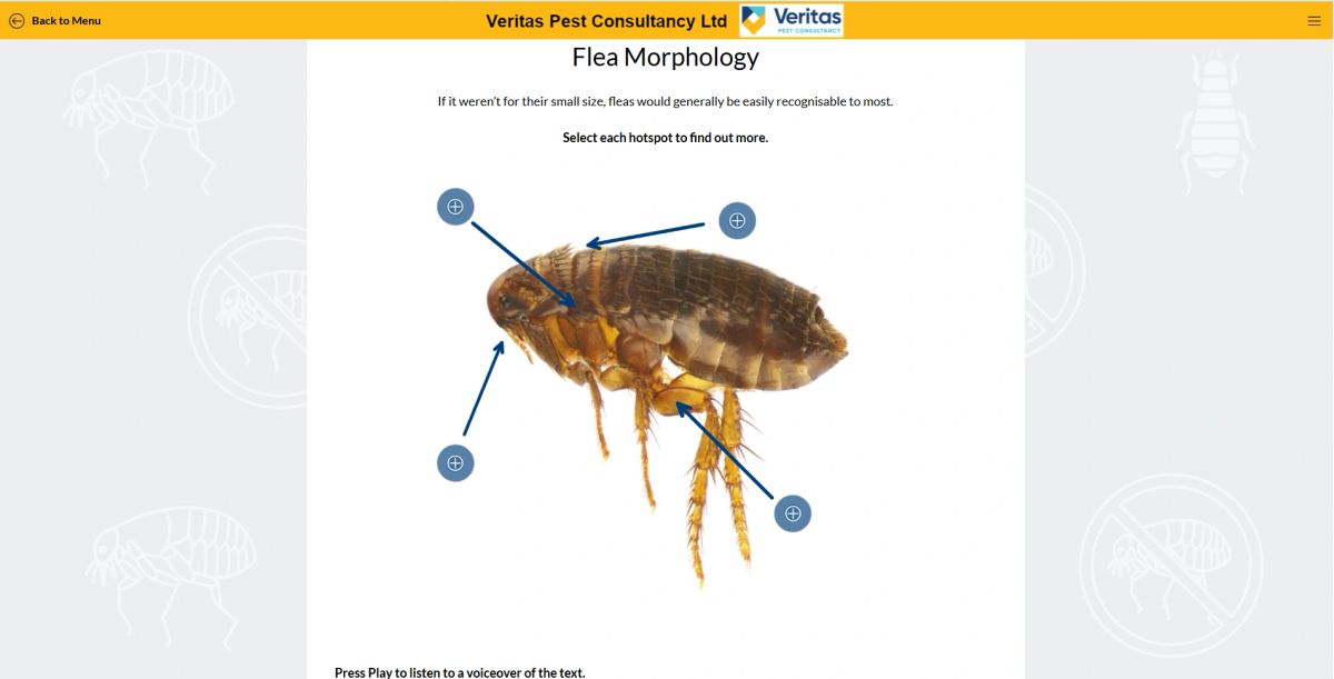 Fleas and Their Control eLearning Course