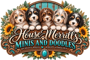 House Merrill’s Minis & Doodles