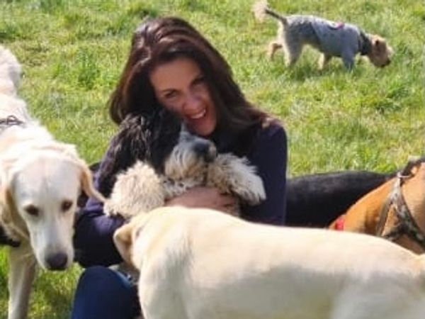 missdoggiesnmoggies