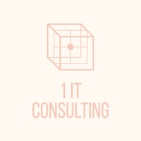 1 IT Consulting