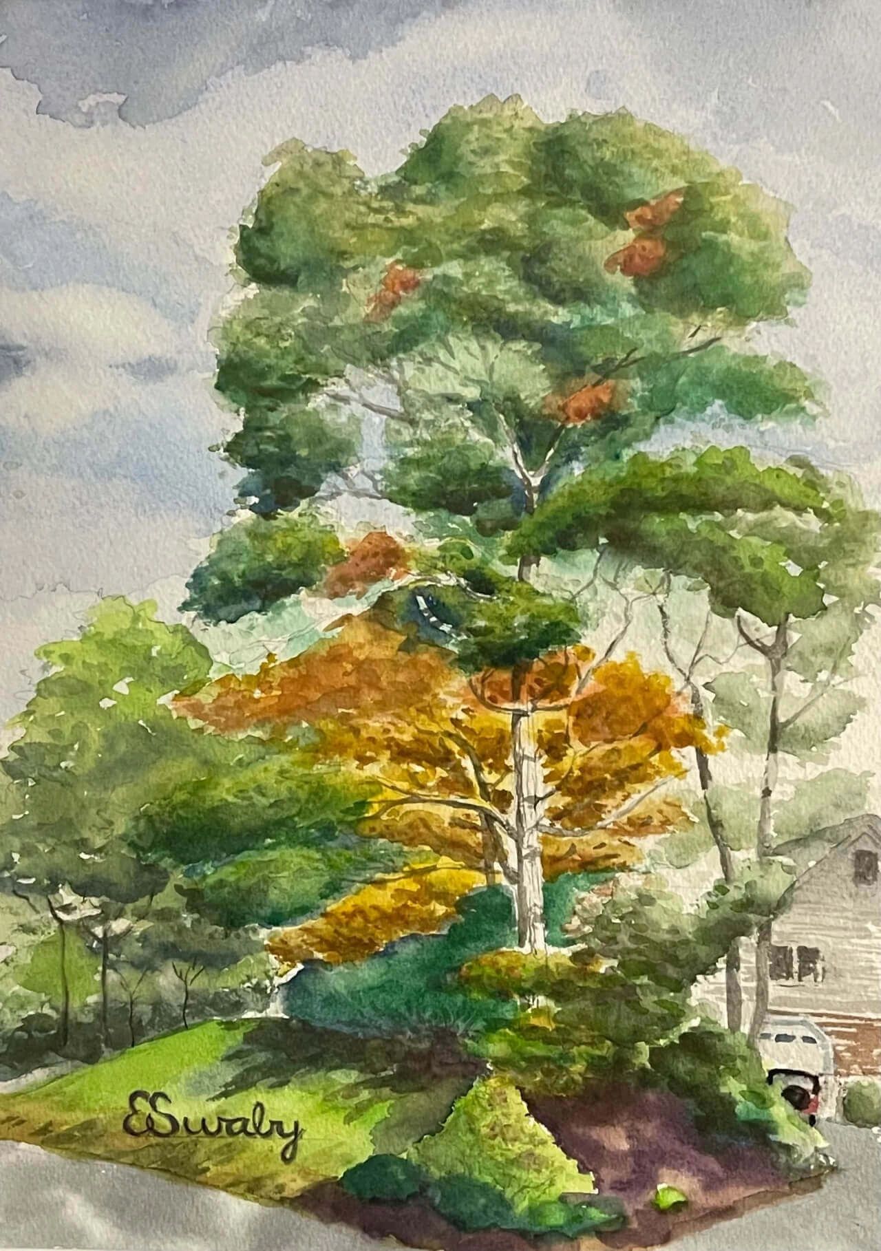 Fall In New England Painting Watercolor on Paper