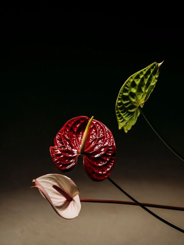 Floral installation