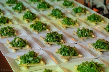 plated salads