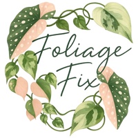 Foliage Fx Co