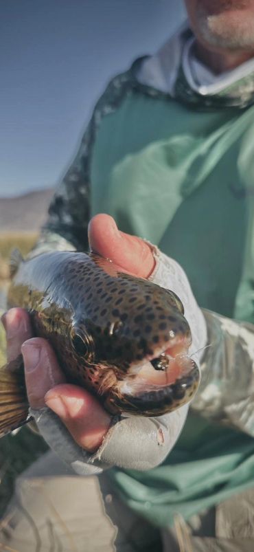 Kevin's Patagonia Trip