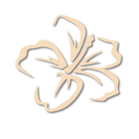 The Maui Spa of NM, LLC