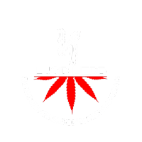 lucidherb.com