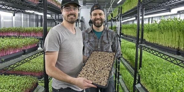 Marcel & Josh @ Farmstead Fresh Organic Microgreens
Photo by Pete Paterson