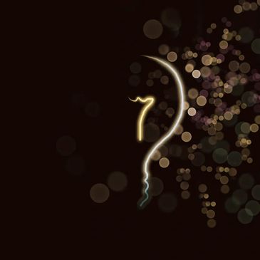 Why CXO Search Partners