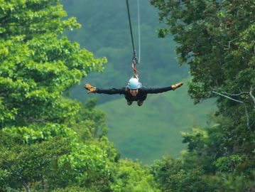 Person ziplining through a lush green forest wearing a helmet and gloves.