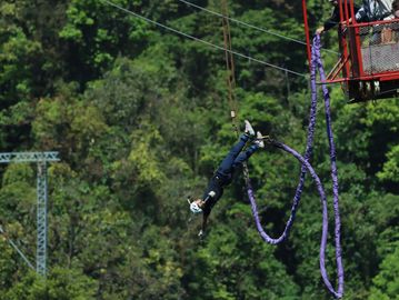 A person bungee jumping off a platform surrounded by greenery.