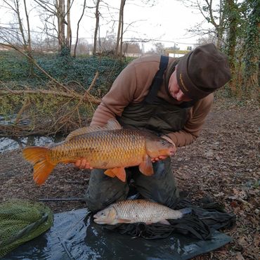 Common Carp And Chub River Blackwater 