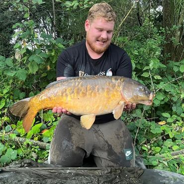 Mirror Carp 