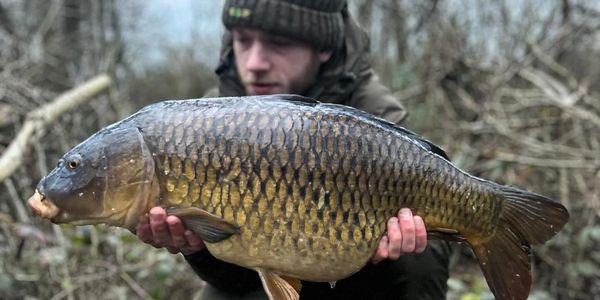 Common Carp From Shawfields 
