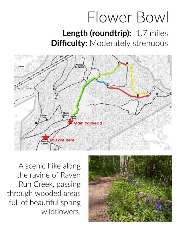 Raven Run Trail Map Trails