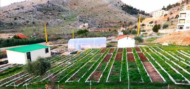 Our seedlings production lab and farm