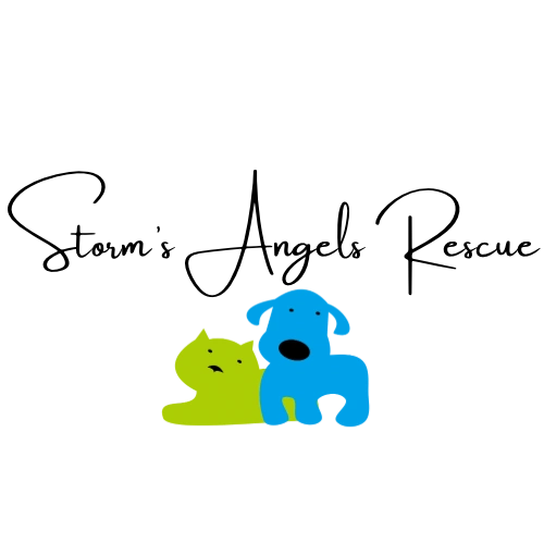 A green cat and a blue dog sitting close together.