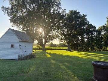 Sunlight filters through trees beside a small white shed on a green lawn.