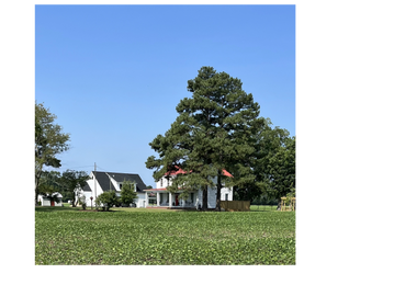 A small white house with a red roof surrounded by large green trees under a clear blue sky.