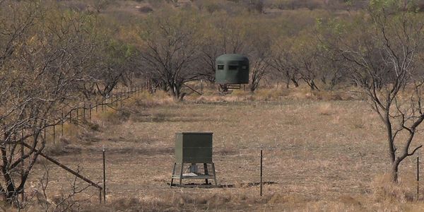 Texas Whitetail Outfitter Hunting Blind