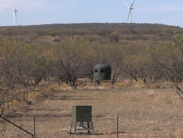 Trophy Whitetail Ranch Hunting Blind