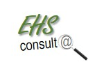 EHSConsulta