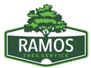 Ramo's Tree