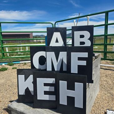 Black boards with white letters arranged outdoors near green fences.