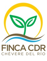Tradición, Innovación, Calidad