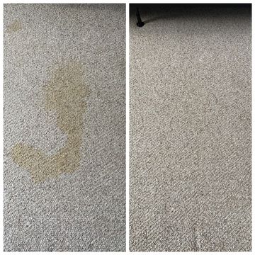 Carpet cleaning with pet urine stain treatment 