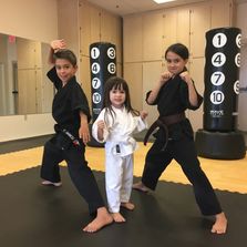 little ninjas, kids karate, karate kids