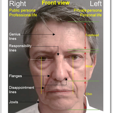 Physiognomy or face reading