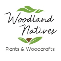 Woodland Natives