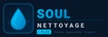 Soul Nettoyage Plus