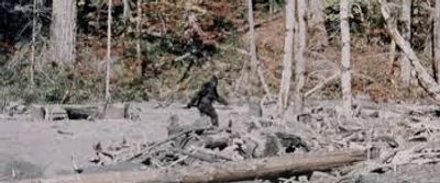 Frame 352 of the The Patterson–Gimlin film
