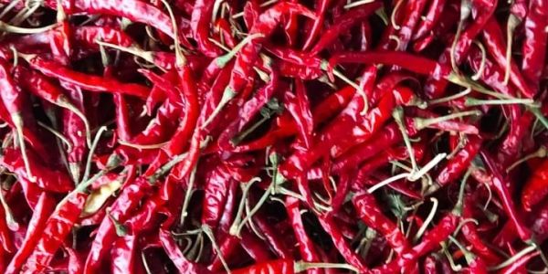 A pile of dried red chili peppers.