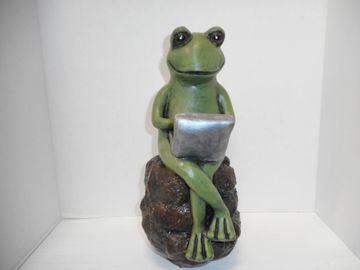 Frog with a laptop